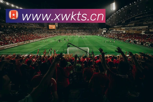 开云app官方版在线入口发展历程